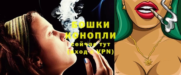 метадон Вяземский